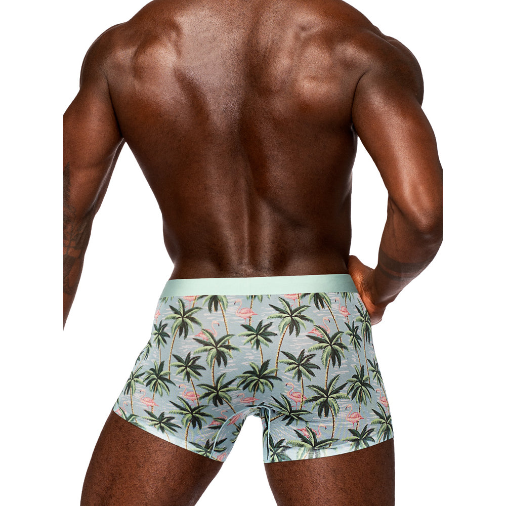 Sheer Prints Seamless Sheer Short Flamingo Small | 845830089418 | Available at EroticWarehouse.com