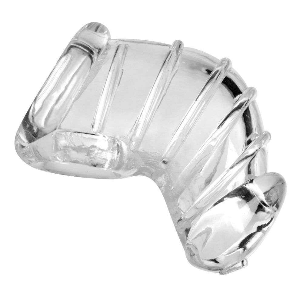 Master Series Detained Soft Body Chastity Cage | 848518018977 | Available at EroticWarehouse.com