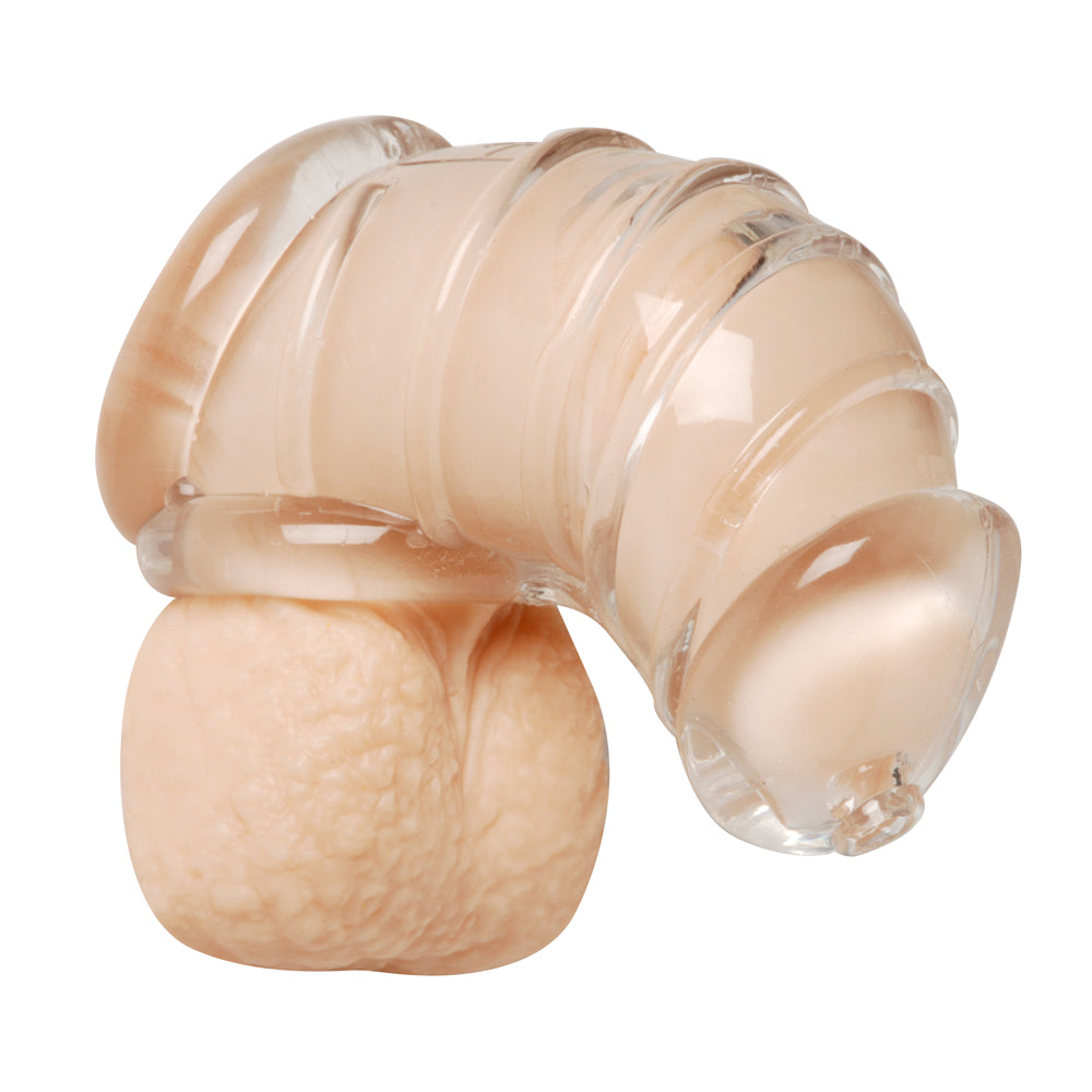 Master Series Detained Soft Body Chastity Cage | 848518018977 | Available at EroticWarehouse.com