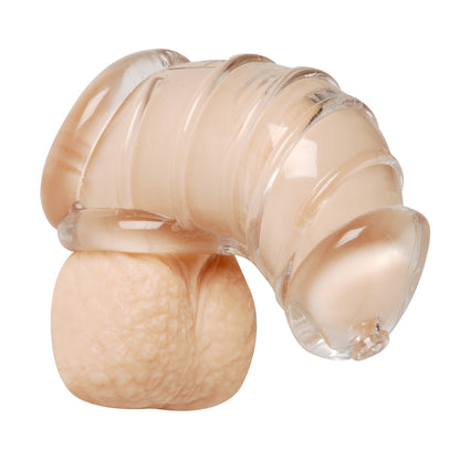 Master Series Detained Soft Body Chastity Cage | 848518018977 | Available at EroticWarehouse.com