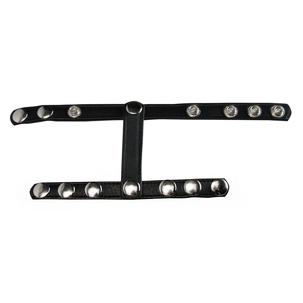 Strict Snap-On Cock And Ball Harness | 848518023858 | Available at EroticWarehouse.com