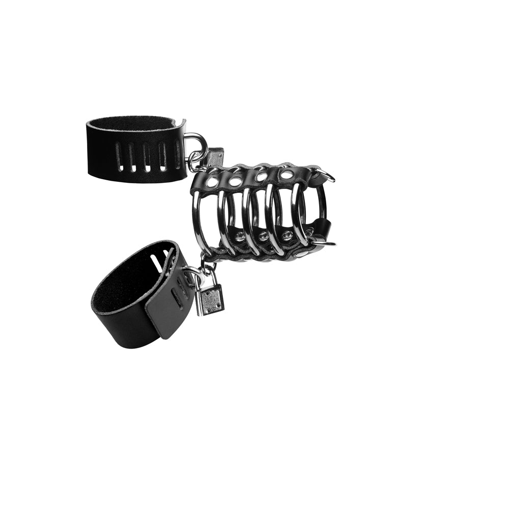 Strict Gates Of Hell Chastity Device | 848518024596 | Available at EroticWarehouse.com