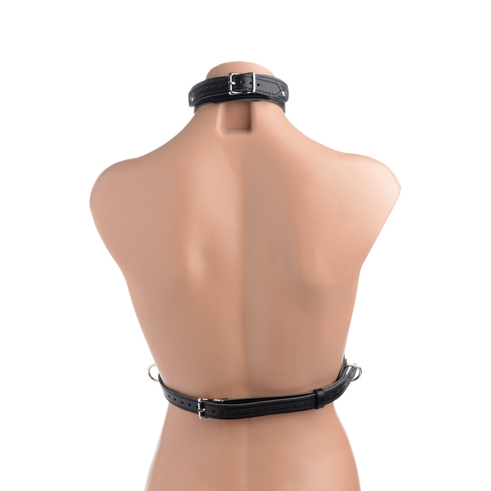 Strict Female Chest Harness | 848518028709 | Available at EroticWarehouse.com