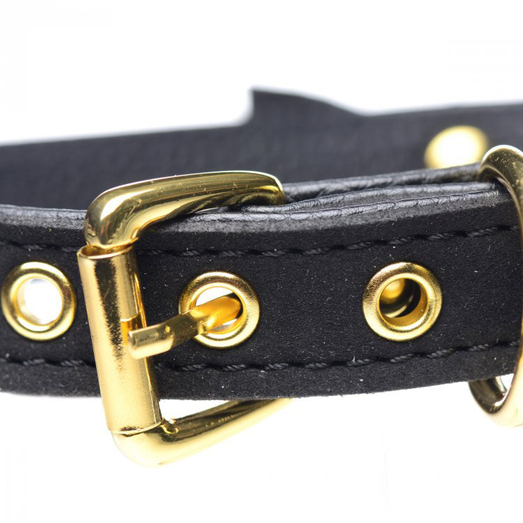 Master Series Golden Kitty Cat Bell Collar Black/Gold | 848518037572 | Available at EroticWarehouse.com