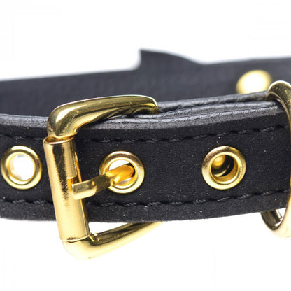 Master Series Golden Kitty Cat Bell Collar Black/Gold | 848518037572 | Available at EroticWarehouse.com