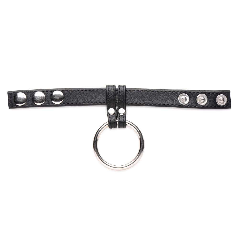 Strict Leather Cock Gear Leather And Steel Cock & Ball Ring | 848518045584 | Available at EroticWarehouse.com
