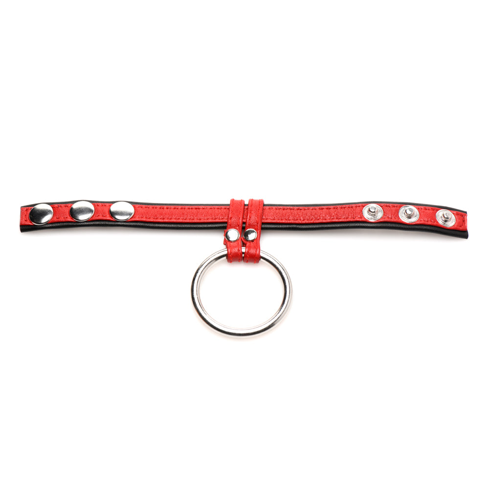 Strict Leather Cock Gear Leather And Steel Cock & Ball Ring Red | 848518048448 | Available at EroticWarehouse.com