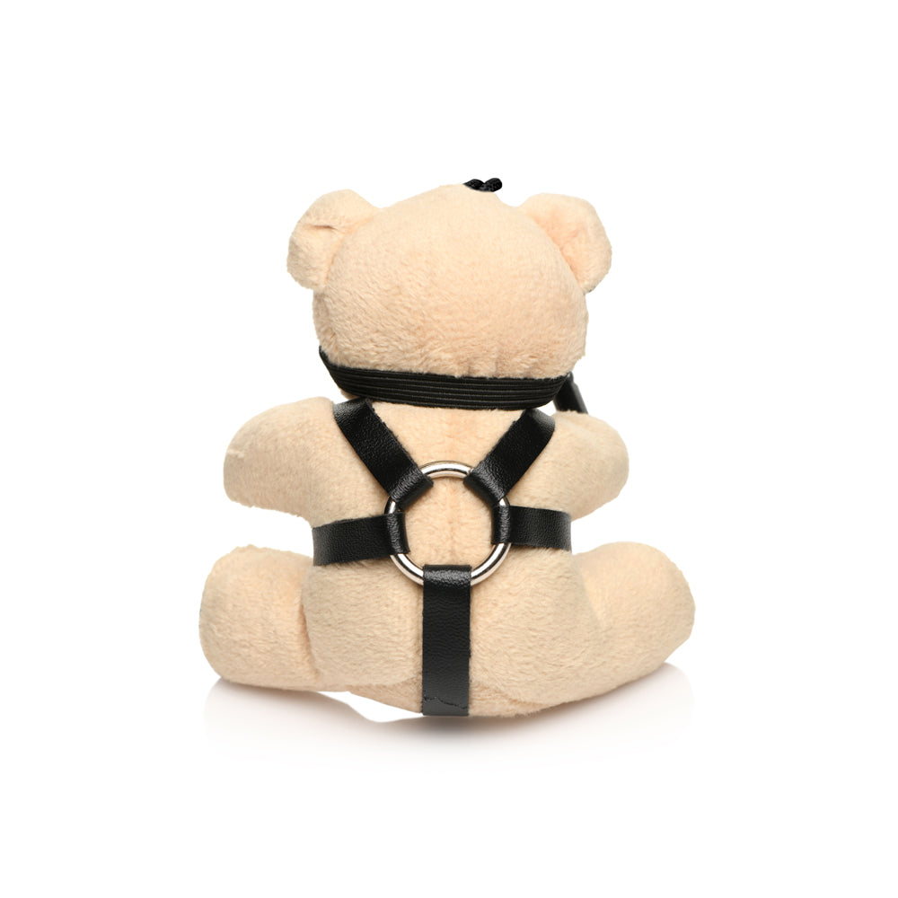 Master Series BDSM Teddy Bear Keychain | 848518050533 | Available at EroticWarehouse.com