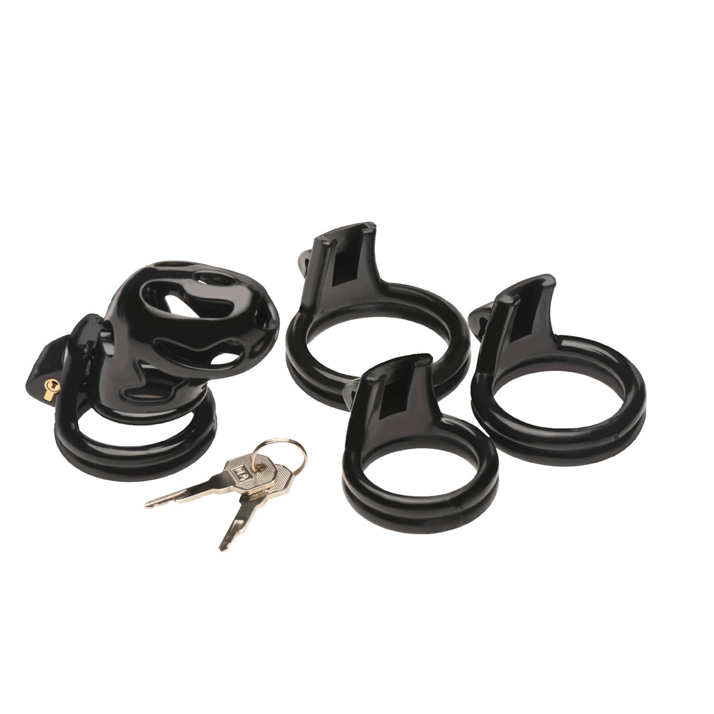 Master Series Hard Stop Double Ring Chastity Cage | 848518056948 | Available at EroticWarehouse.com