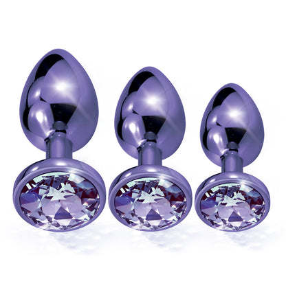 Nixie Metal Butt Plug Trainer Set Purple Metallic | 850010096926 | Available at EroticWarehouse.com