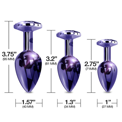 Nixie Metal Butt Plug Trainer Set Purple Metallic | 850010096926 | Available at EroticWarehouse.com