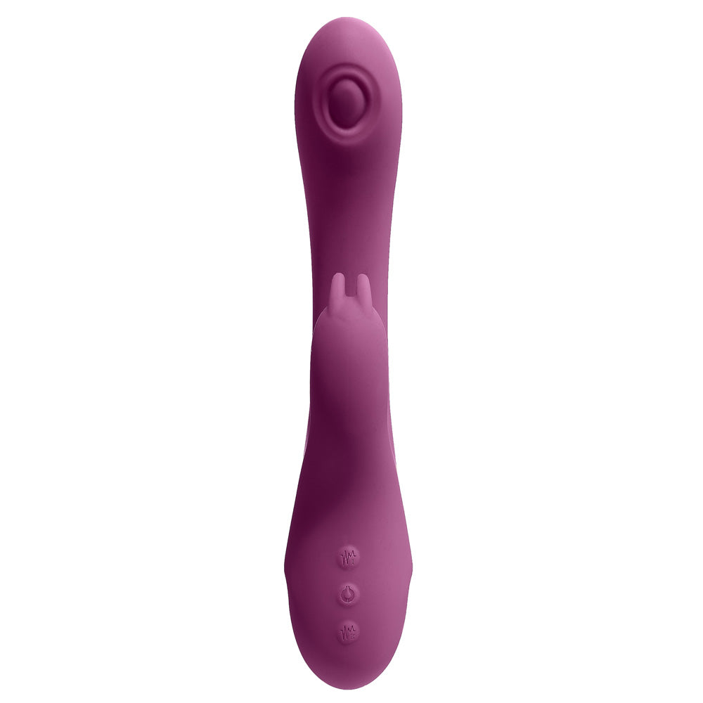 Pro Sensual Series Magnetic Pulsation And Air Pulsation G Spot Rabbit Plum | 850013016587 | Available at EroticWarehouse.com