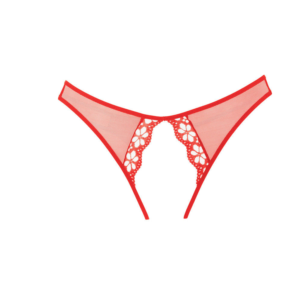 Adore Mirabelle Plum Panty One Size Red | 883045913029 | Available at EroticWarehouse.com