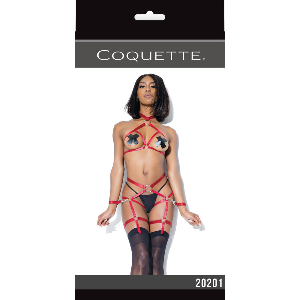 Harness Top And Crotchless Panty Merlot One Size | 883124174792 | Available at EroticWarehouse.com