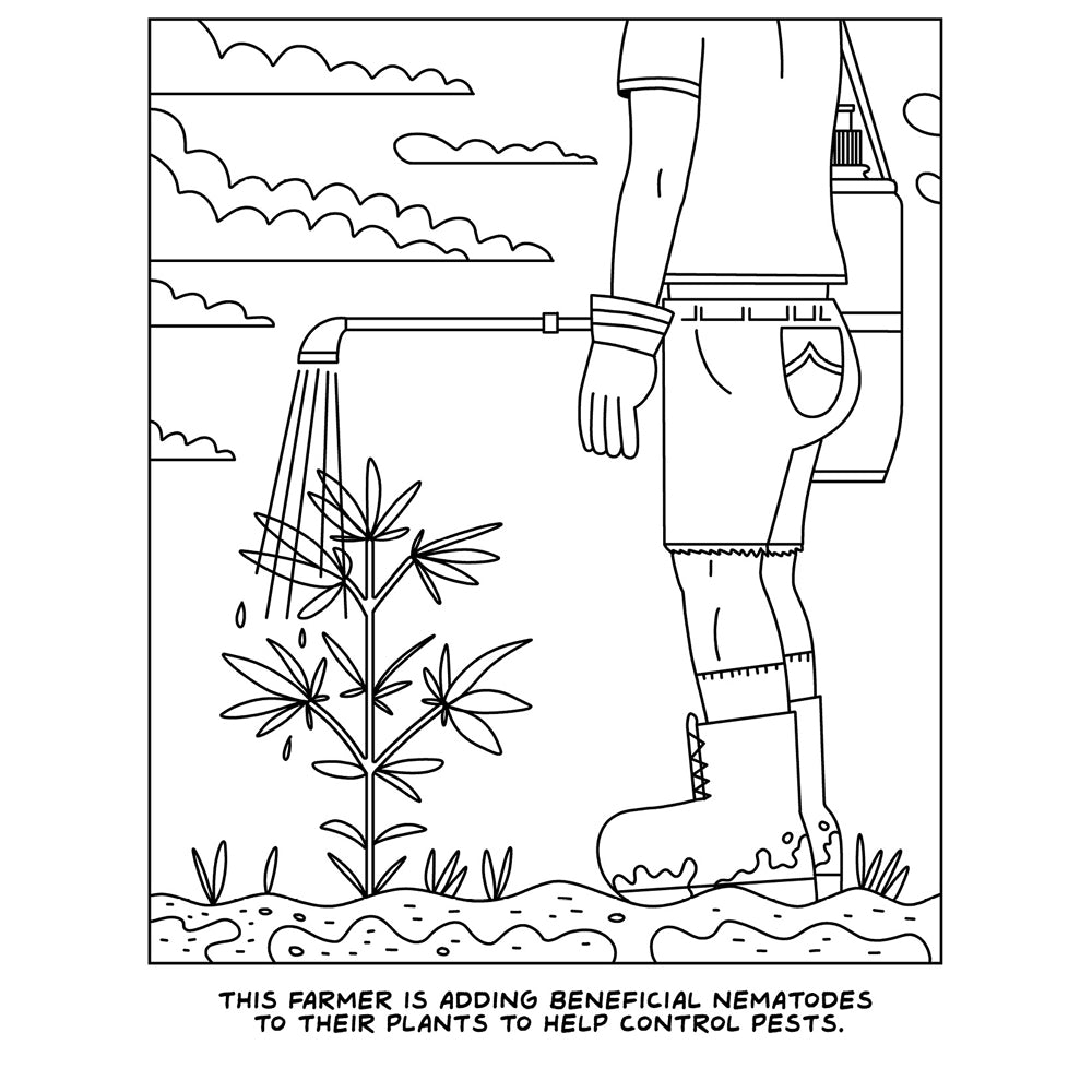 A Visit To The Cannabis Farm | 9781956562200 | Available at EroticWarehouse.com