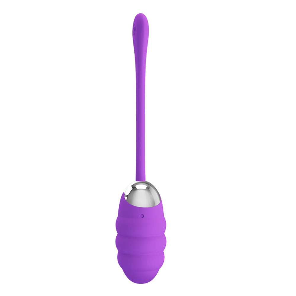 Pretty Love Franklin Rechargeable Egg Vibe - Purple | 6959532323160 | Available at EroticWarehouse.com