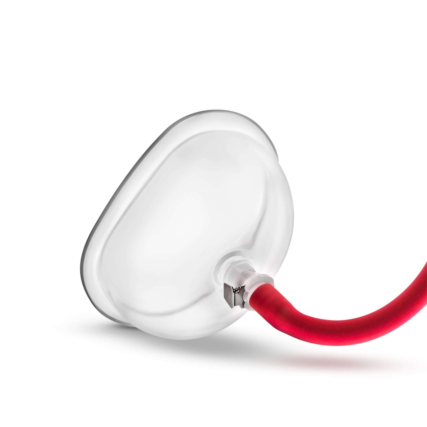 Temptasia – Vulva Cup - Clear | 819835024163 | Available at EroticWarehouse.com