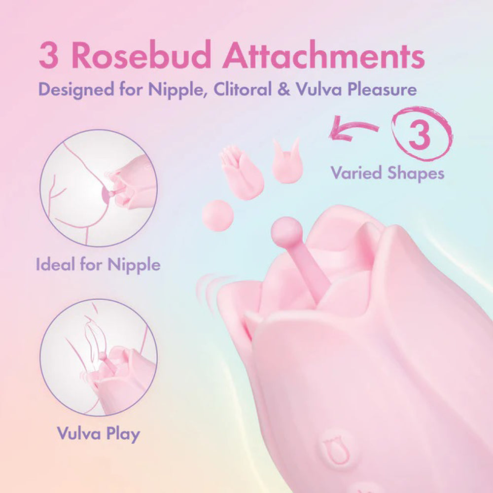 Play With Me Romantic Rose - Pink | 810138370827 | Available at EroticWarehouse.com