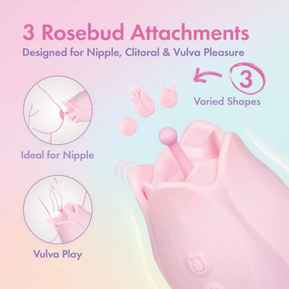 Play With Me Romantic Rose - Pink | 810138370827 | Available at EroticWarehouse.com