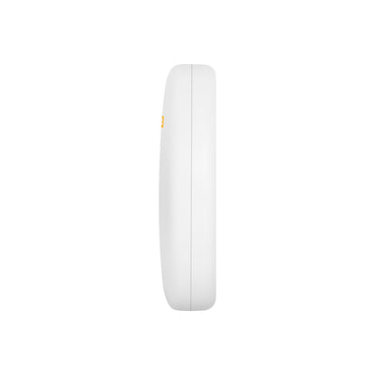 Creamsicle | 844477017679 | Available at EroticWarehouse.com