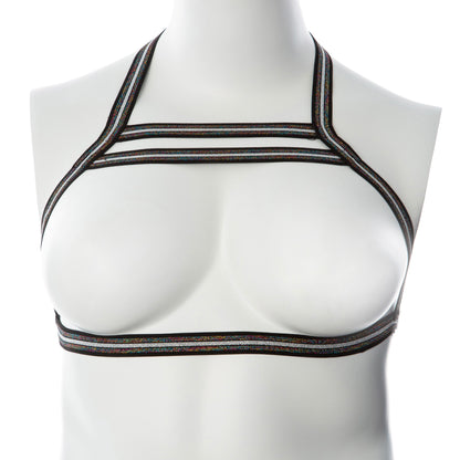 Gender Fluid Silver Lining Harness - Large/xxlarge - Multi-Color | 812024033847 | Available at EroticWarehouse.com