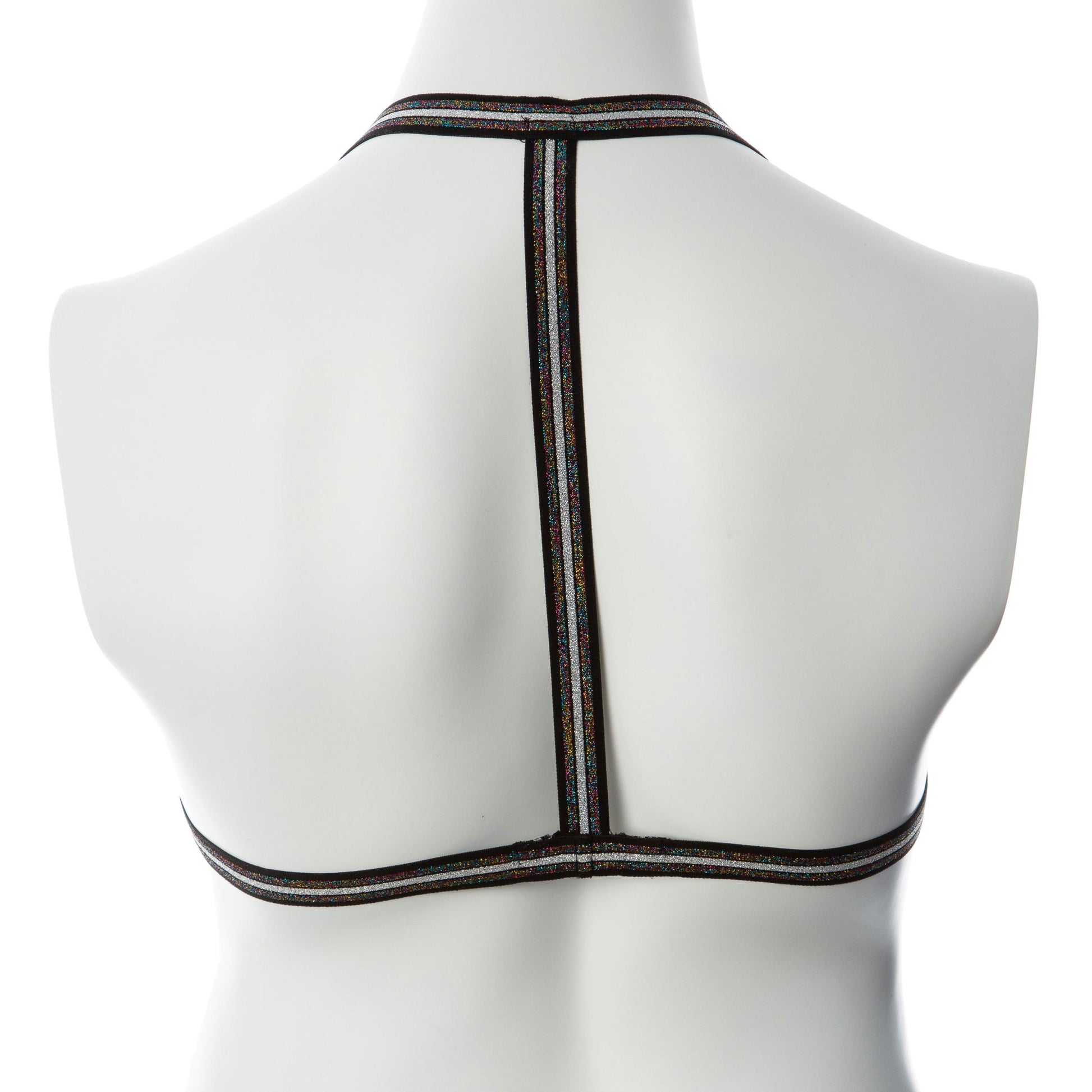 Gender Fluid Silver Lining Harness - Large/xxlarge - Multi-Color | 812024033847 | Available at EroticWarehouse.com