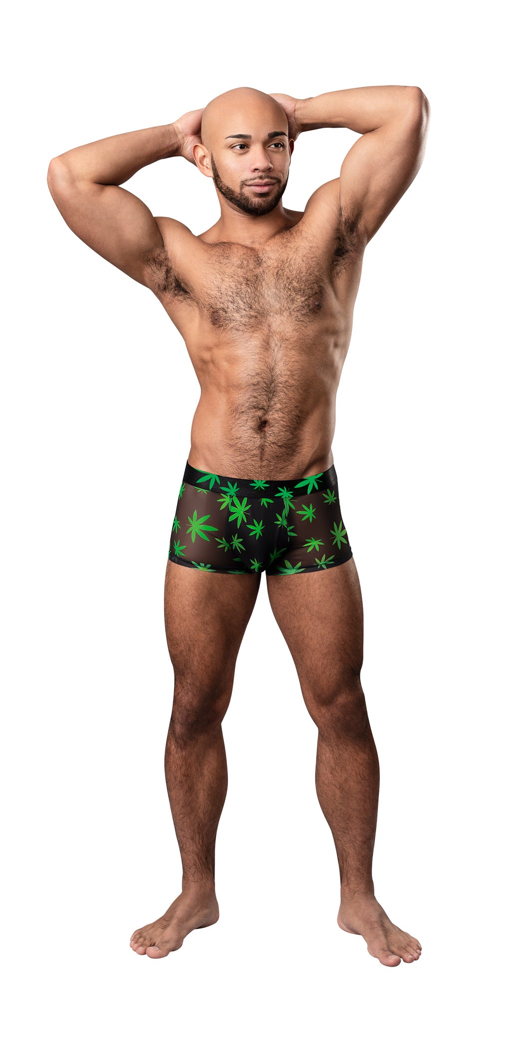 Hazy Dayz - Pouch Short - Medium - Pot Leaf | 845830092715 | Available at EroticWarehouse.com