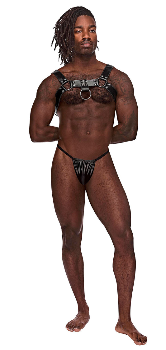 Aries Leather Harness - One Size - Black | 845830085946 | Available at EroticWarehouse.com