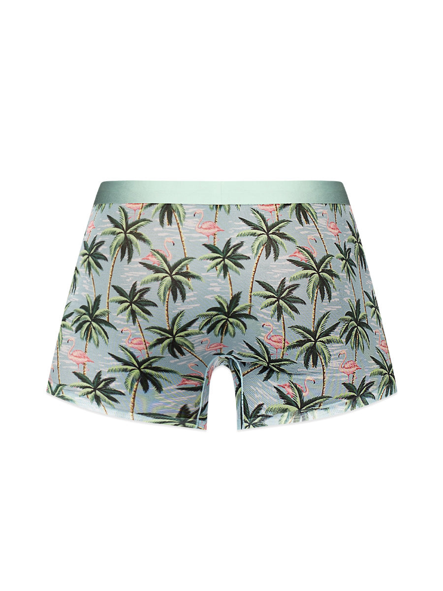 Sheer Prints - Seamless Sheer Short - X-Large - Flamingo | 845830089425 | Available at EroticWarehouse.com