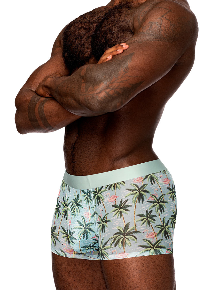 Sheer Prints - Seamless Sheer Short - X-Large - Flamingo | 845830089425 | Available at EroticWarehouse.com