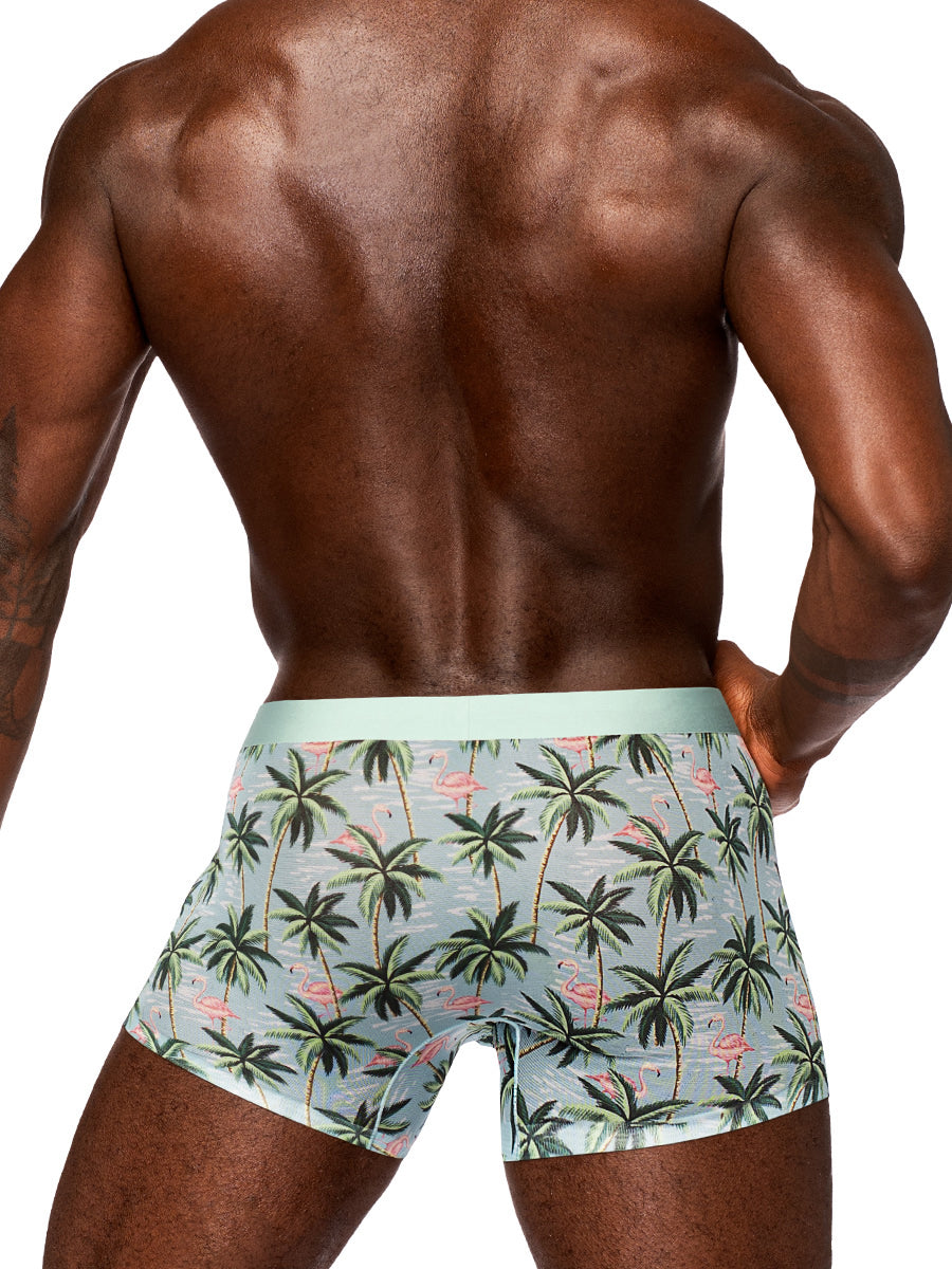Sheer Prints - Seamless Sheer Short - X-Large - Flamingo | 845830089425 | Available at EroticWarehouse.com