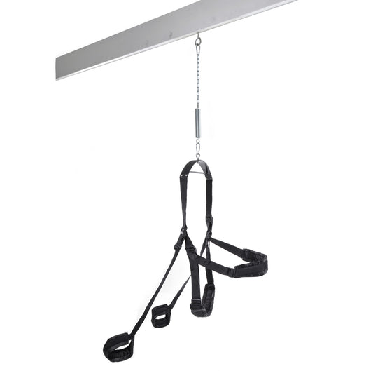Fetish Fantasy Series Fantasy Swing - Black - Black | 603912184426 | Available at EroticWarehouse.com