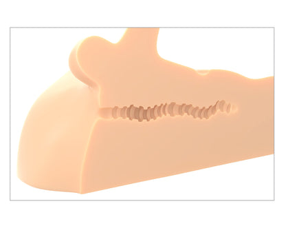 Pdx Extreme Plus Perfect Ride - Light | 603912771350 | Available at EroticWarehouse.com