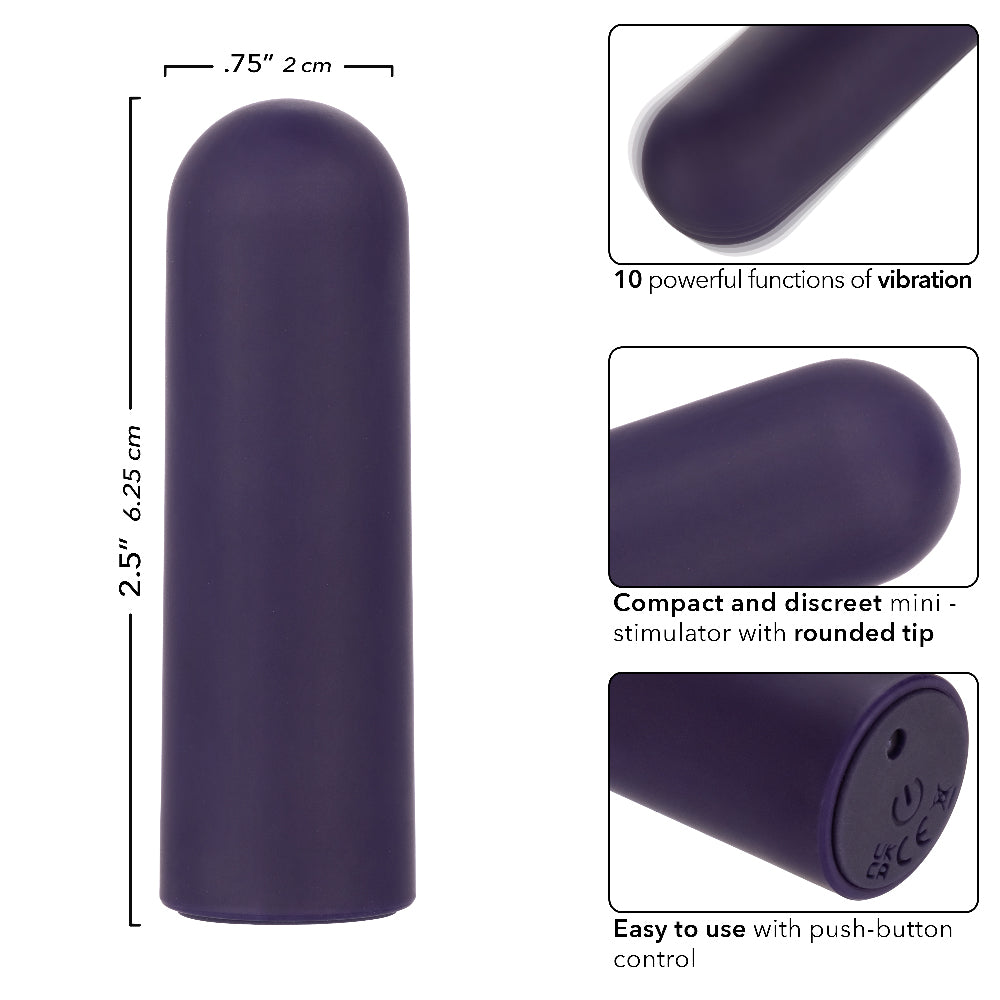 Turbo Buzz Rounded Mini Bullet - Purple | 716770107312 | Available at EroticWarehouse.com