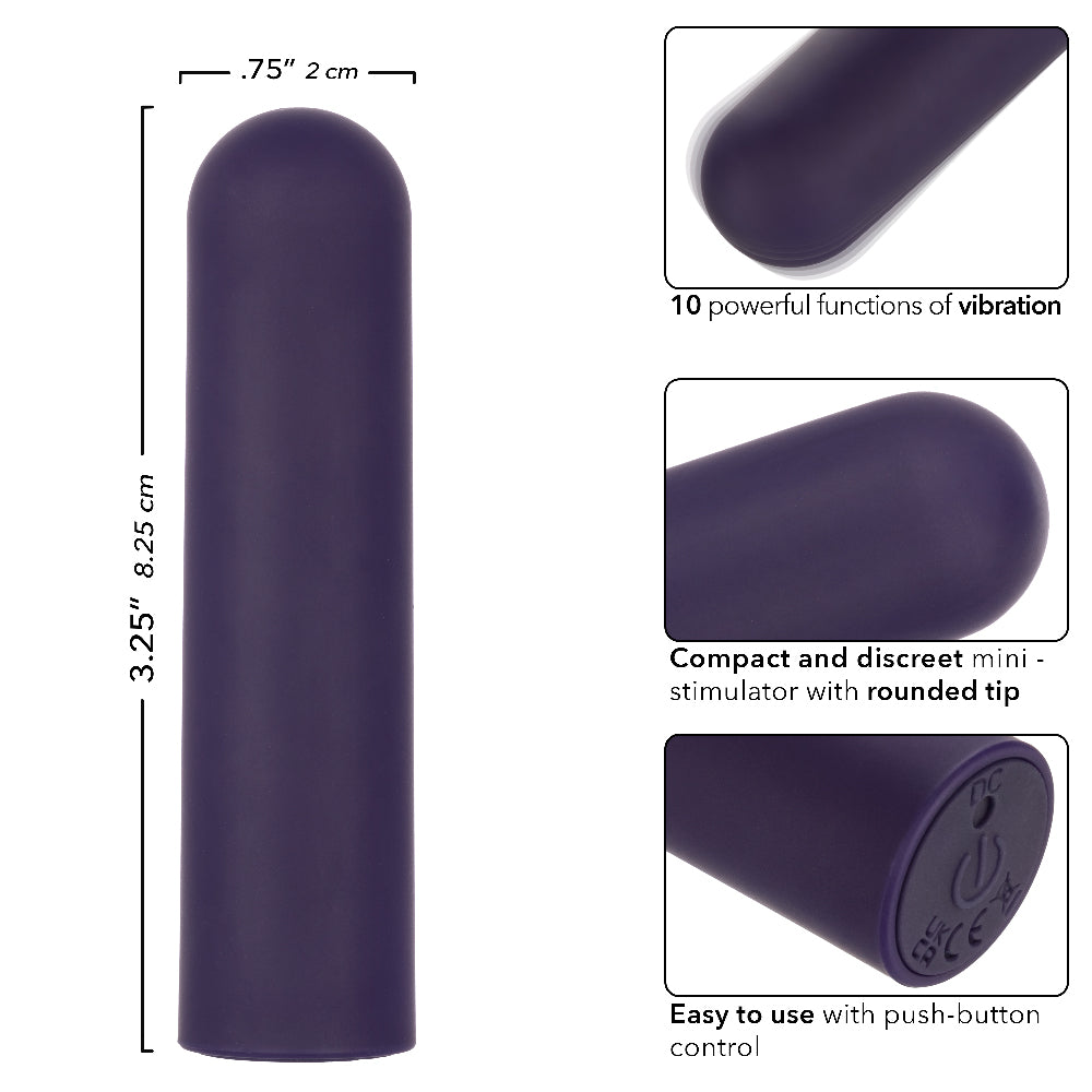 Turbo Buzz Rounded Bullet - Purple | 716770107350 | Available at EroticWarehouse.com