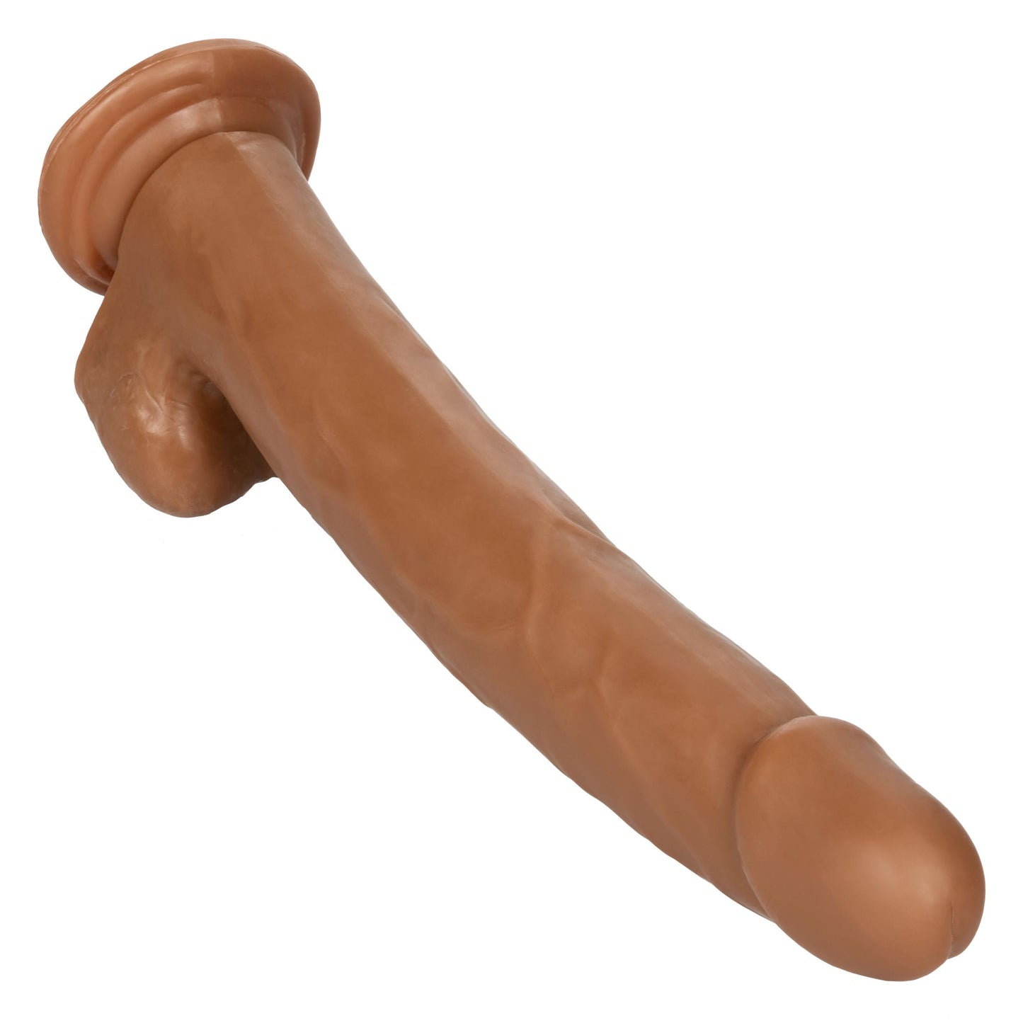 Size Queen 12 inch/30.5 Cm - Brown | 716770098719 | Available at EroticWarehouse.com