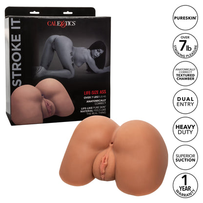 Stroke It Life-Size Ass - Brown | 716770098856 | Available at EroticWarehouse.com