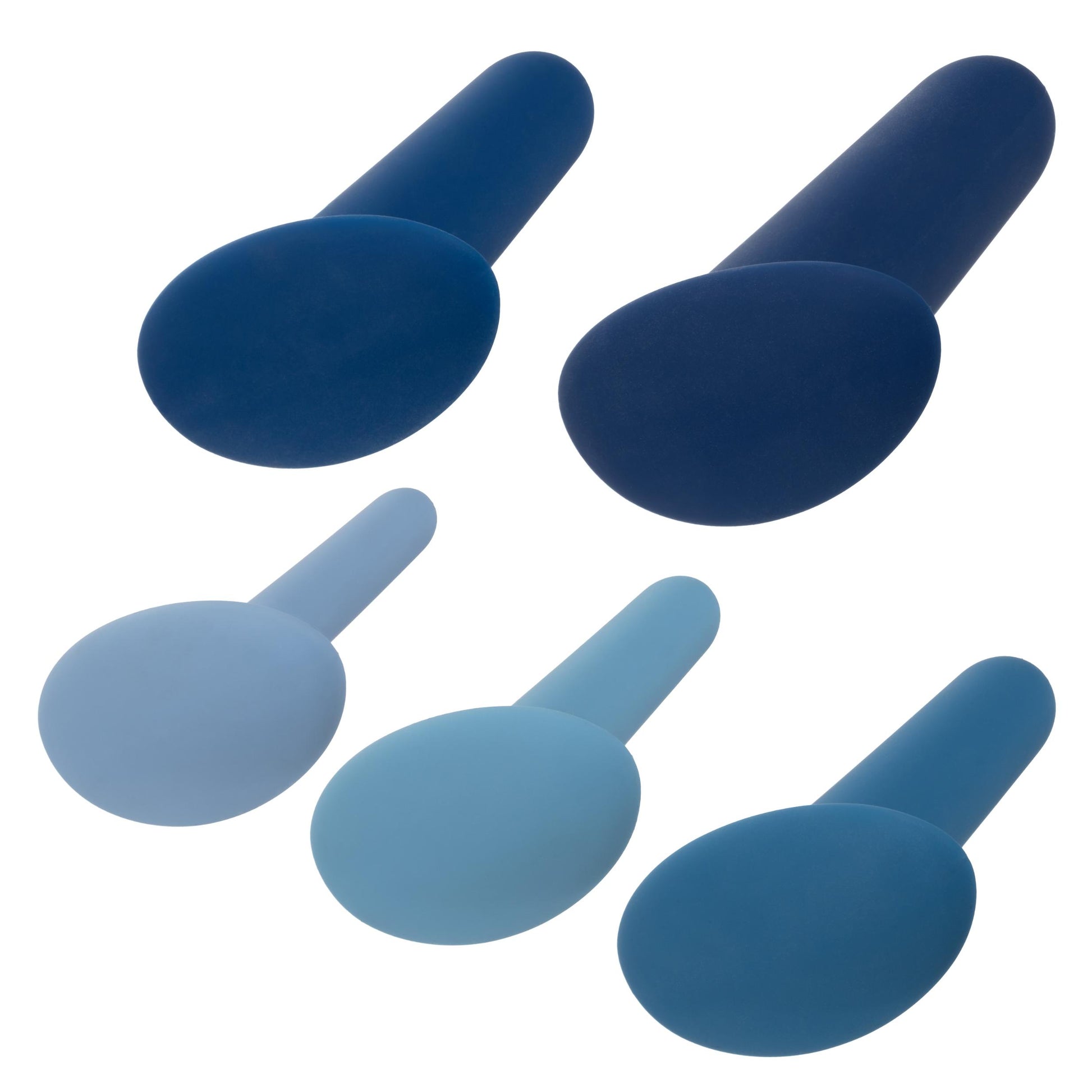 They-Ology 5-Piece Wearable Anal Training Set | 716770095459 | Available at EroticWarehouse.com