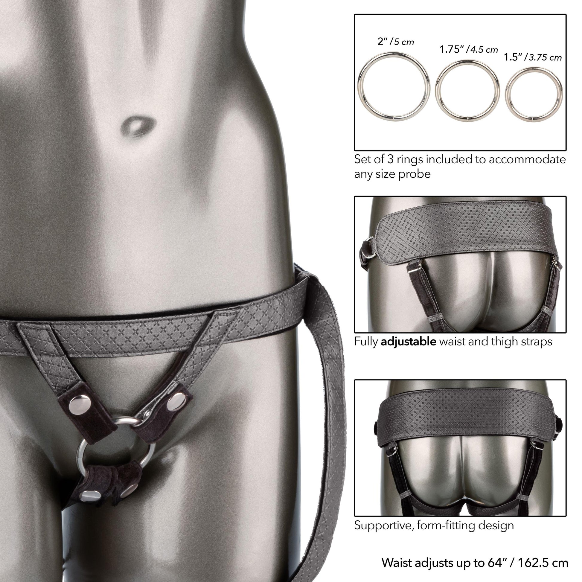 Her Royal Harness the Regal Princess - Pewter | 716770094803 | Available at EroticWarehouse.com