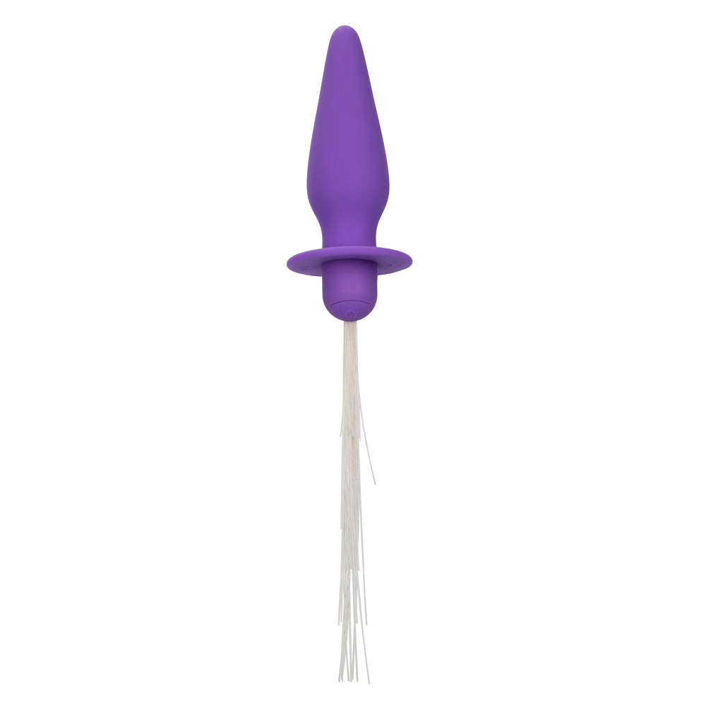 Southern Lights - Vibrating Light Up Anal Probe - Purple | 716770109446 | Available at EroticWarehouse.com