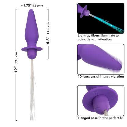 Southern Lights - Vibrating Light Up Anal Probe - Purple | 716770109446 | Available at EroticWarehouse.com
