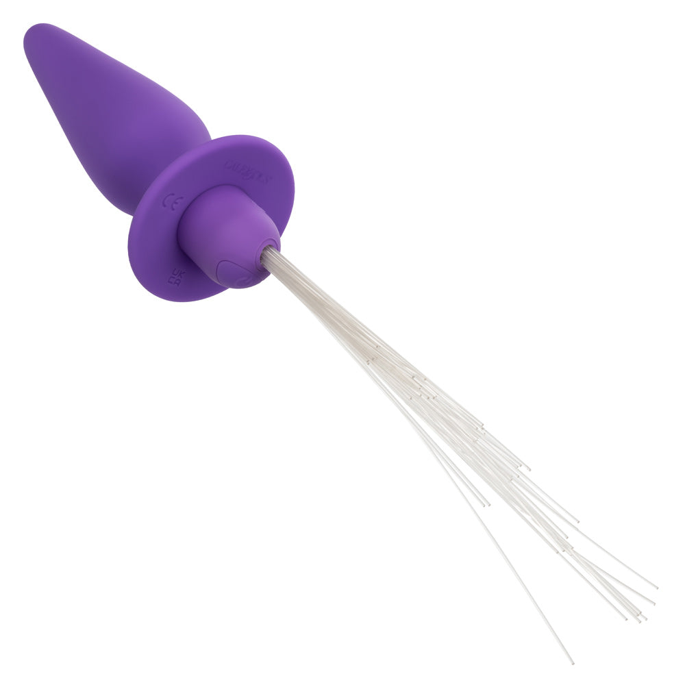 Southern Lights - Vibrating Light Up Anal Probe - Purple | 716770109446 | Available at EroticWarehouse.com