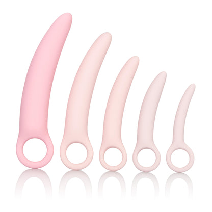 Inspire Silicone Dilator Kit - 5 Piece Set | 716770086594 | Available at EroticWarehouse.com