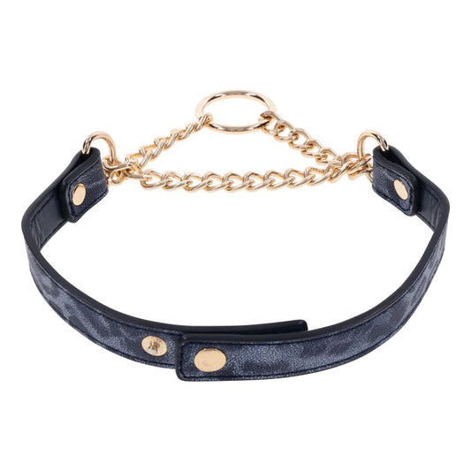 Cougar Day Collar | 646709099749 | Available at EroticWarehouse.com