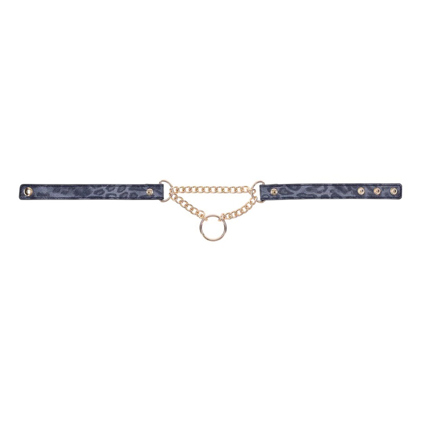 Cougar Day Collar | 646709099749 | Available at EroticWarehouse.com