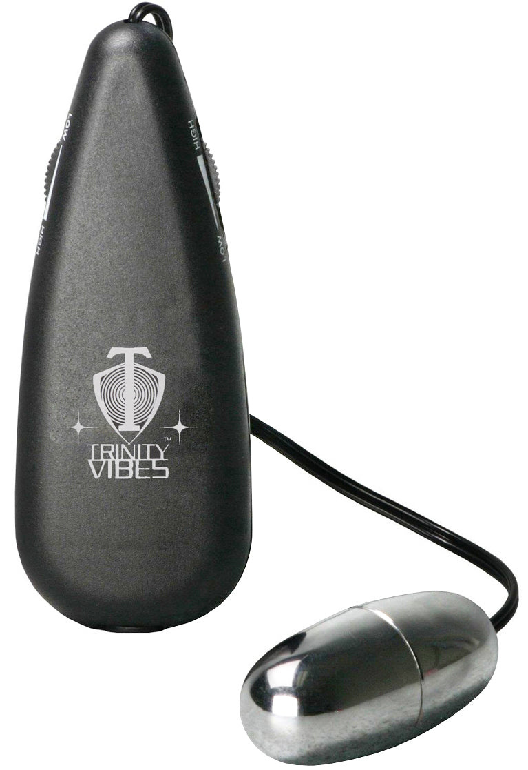 Silver Vibrating Egg | 811847011377 | Available at EroticWarehouse.com