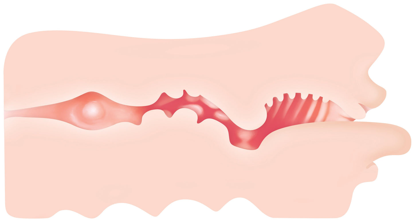 Real Mouth Stroker | 844477010410 | Available at EroticWarehouse.com