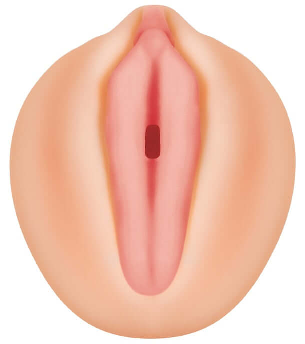 Alexis Texas Movie Download With Realistic Vagina Stroker | 844477011219 | Available at EroticWarehouse.com